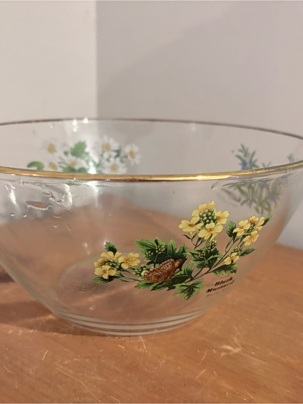 Royal Worcester Herbs Glass Salad Serving Bowl 9"x4.5"